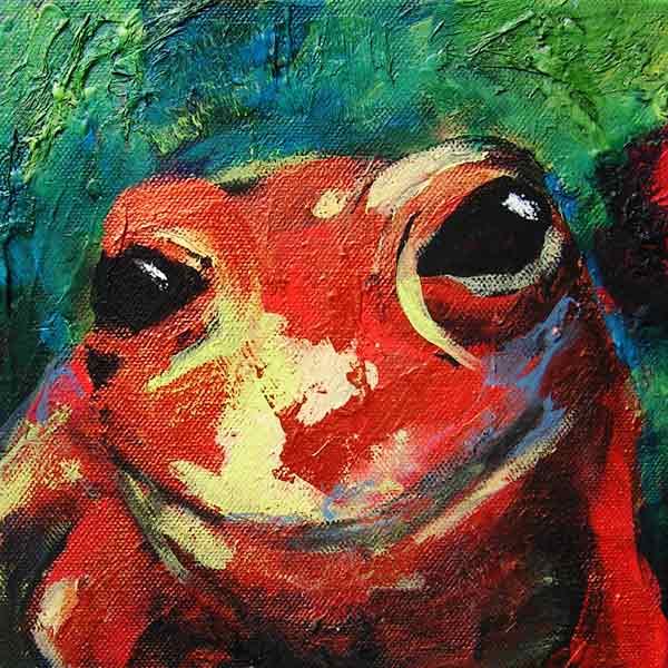 Frosch 5 von Jessi Kobek