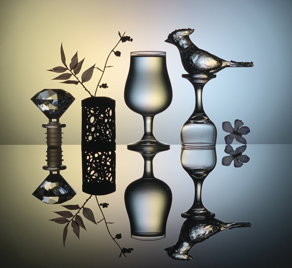 Bird and Glass von Jessie Qin