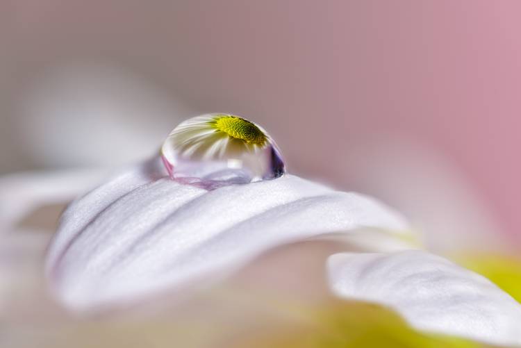 Magical Drop von Jesus M. Garcia