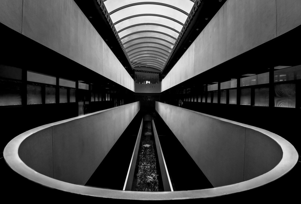 Marin Center 1333 von Jiahong Zeng