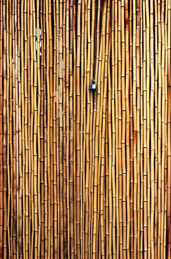 The locked door von Jian Wang