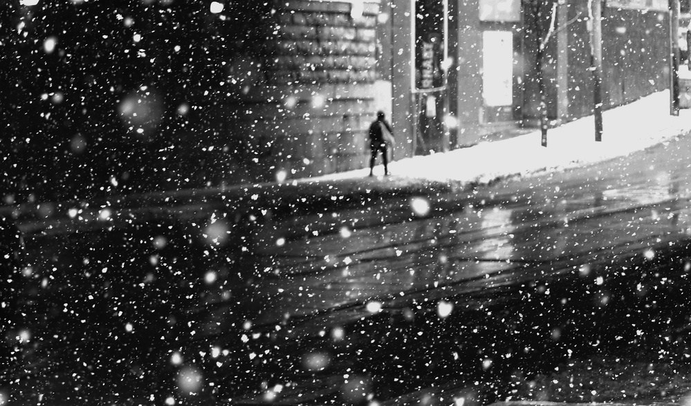 In snow #2 von Jian Wang