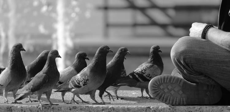 On Line for Food von Jian Wang
