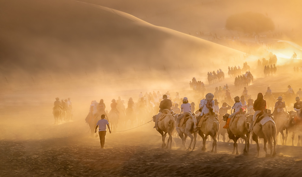 Camel Caravan von Jianping Yang