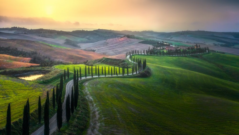 Country Road von Jianping Yang