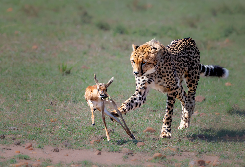 A critical moment in life and death von Jie Fischer
