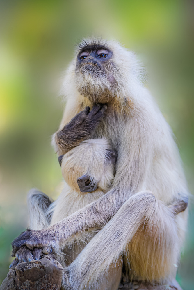 Lovely time von Jie Fischer