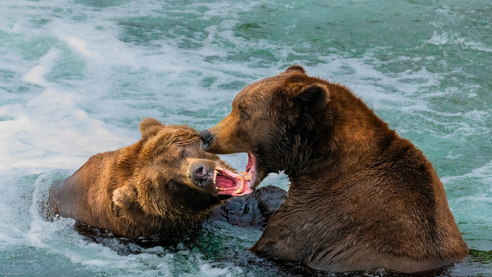 Fighting von Jie Fischer