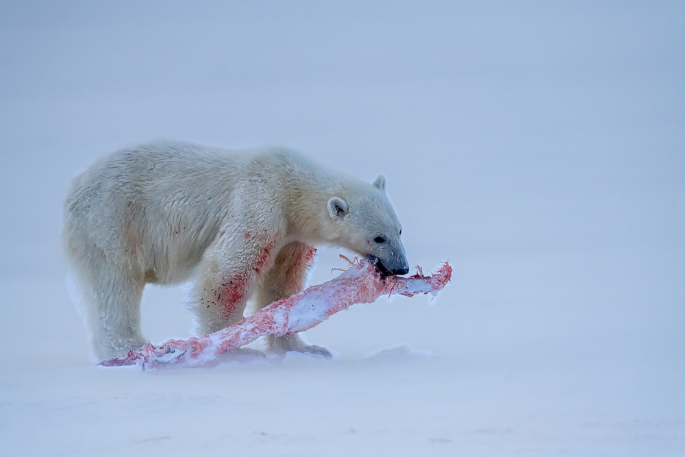 Delicious lunch von Jie Fischer
