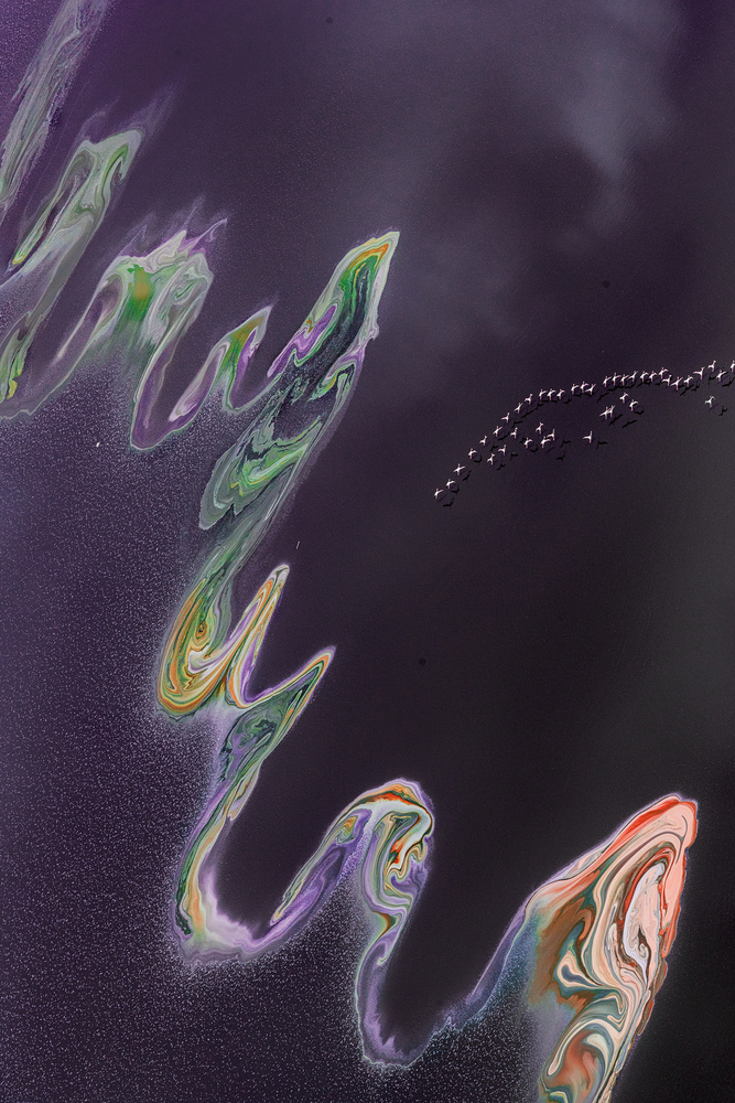 Purple dragon dance in the  air von Jie Fischer