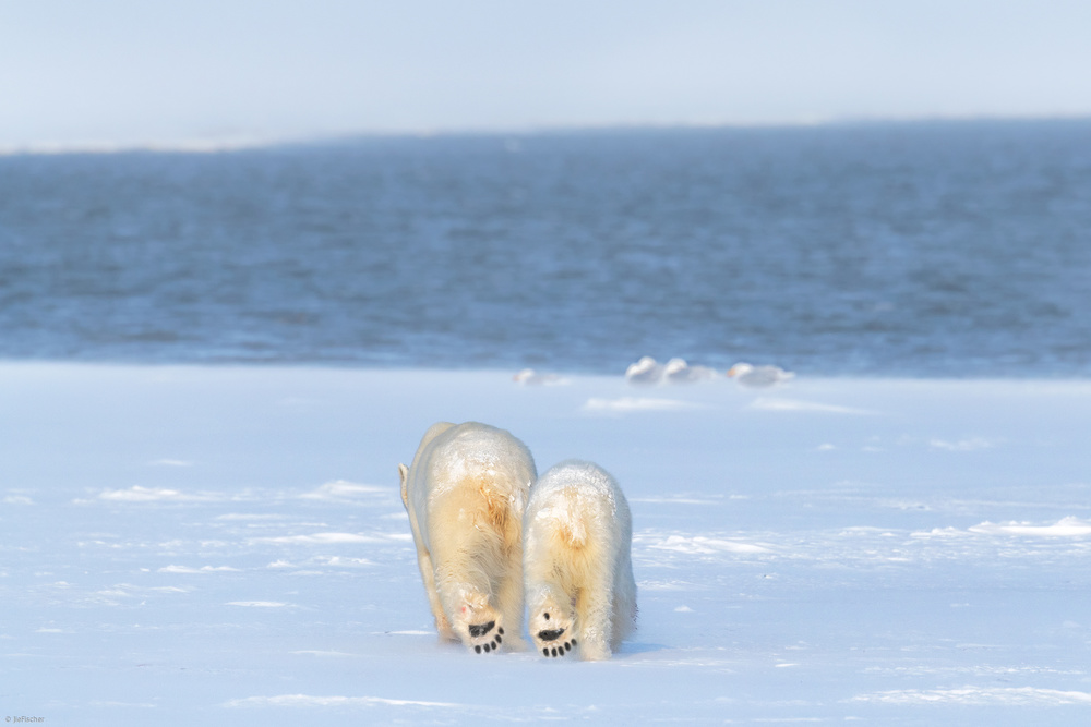 tomorrow will be better von Jie Fischer