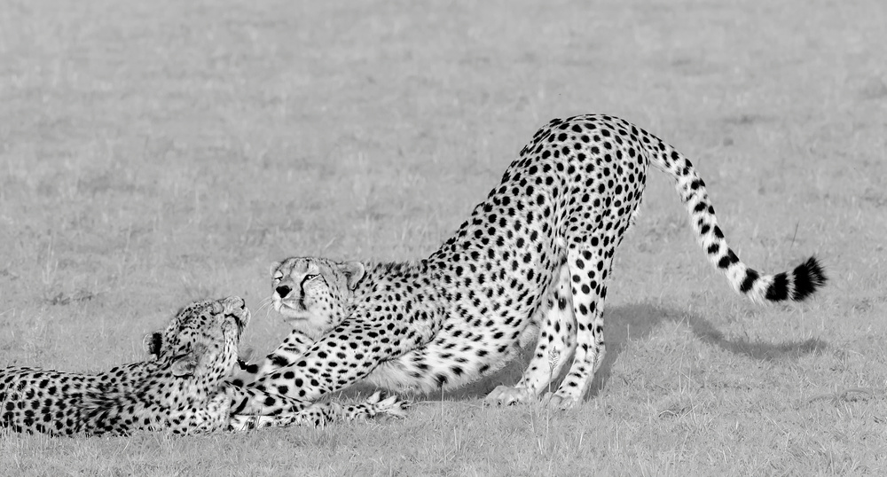 Happy time in Massai von Jie Fischer