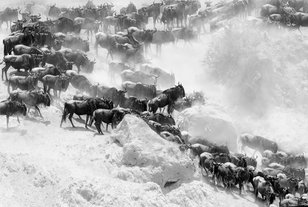Gather by the river von Jie Fischer
