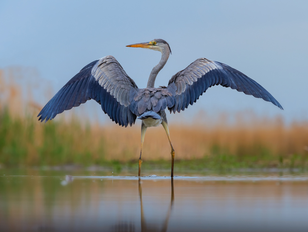Looking back von Jie Fischer