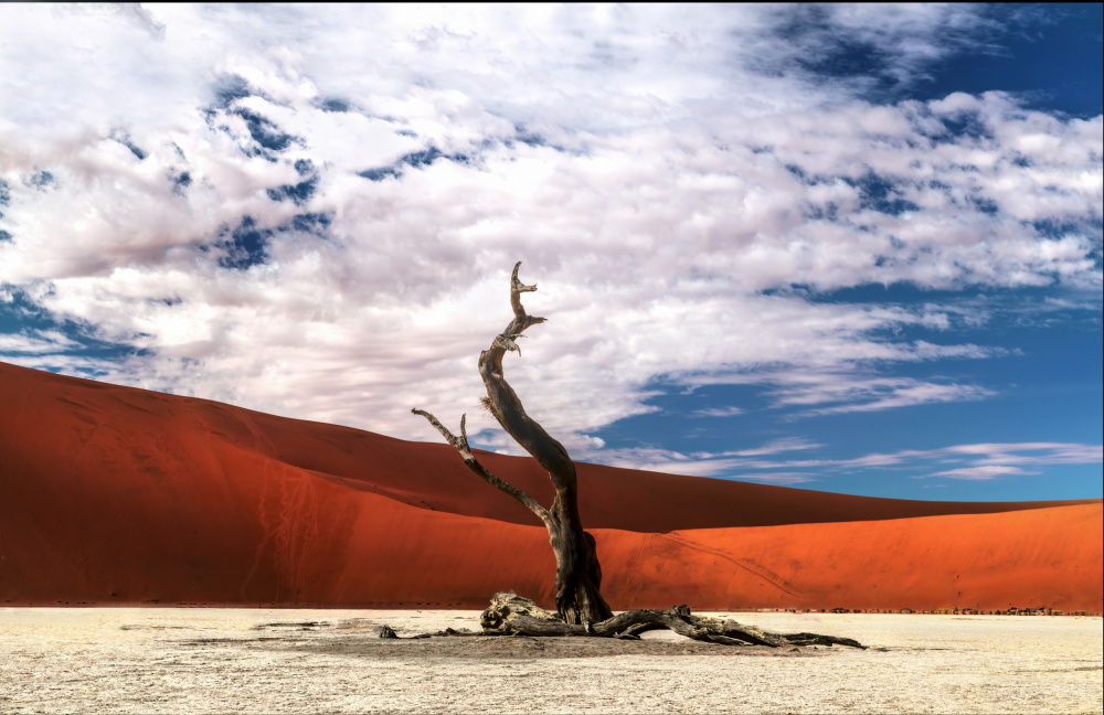 Last Stand von Jie Jin