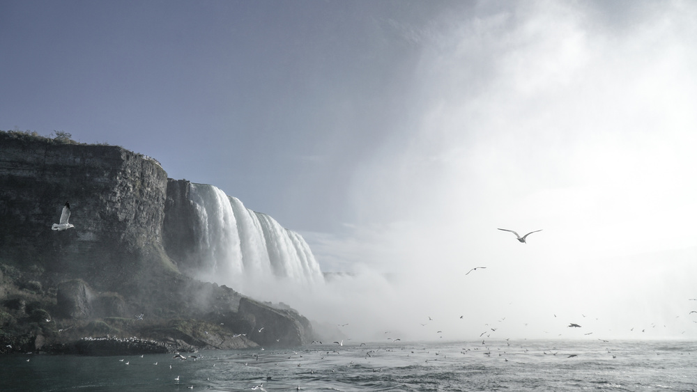 Immensity von JIHO PARK