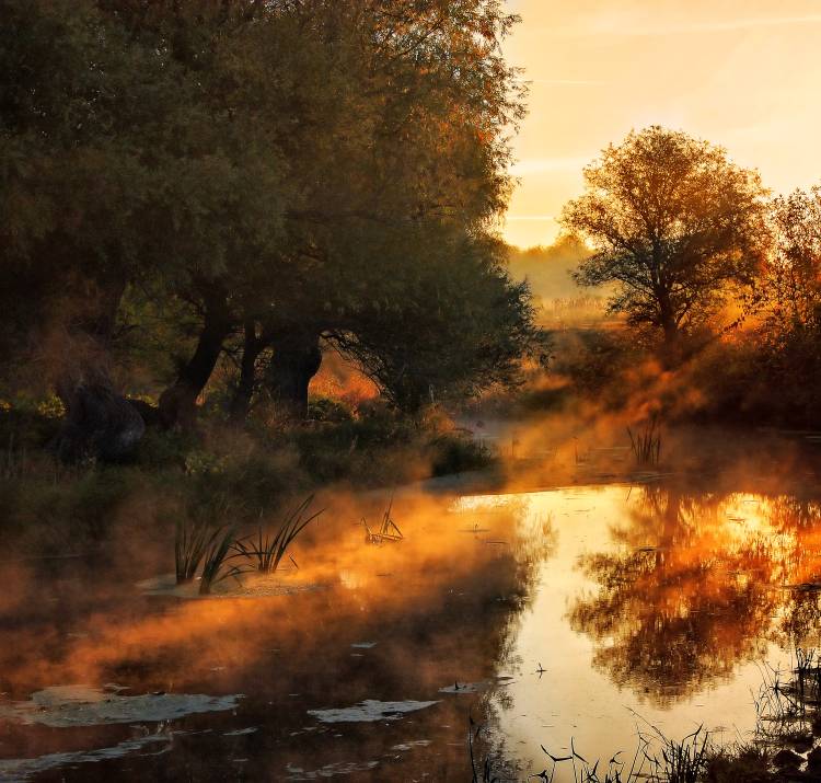 When nature paints with light von Jimbi