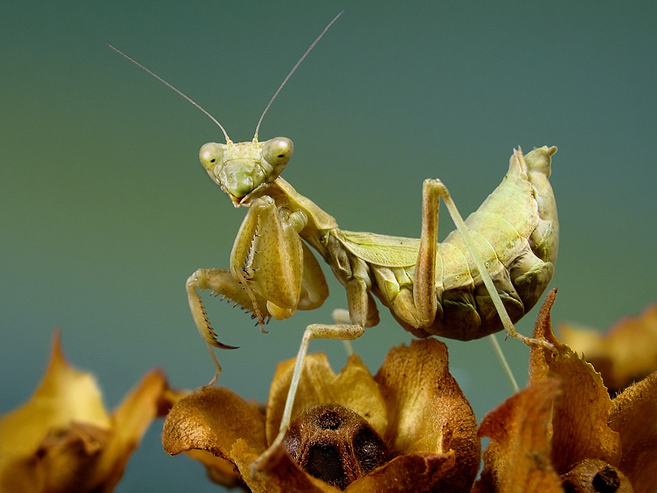 Hi there! von Jimmy Hoffman