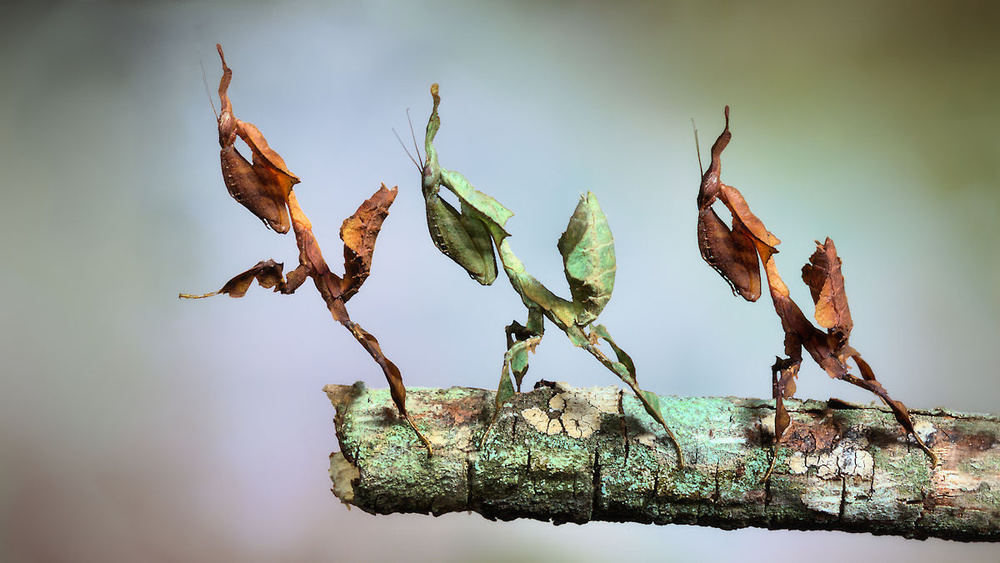 Into the void von Jimmy Hoffman