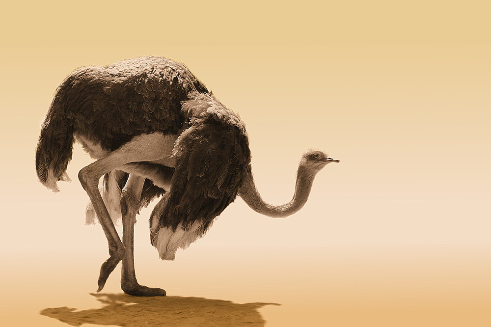 Walking by von Jimmy Hoffman