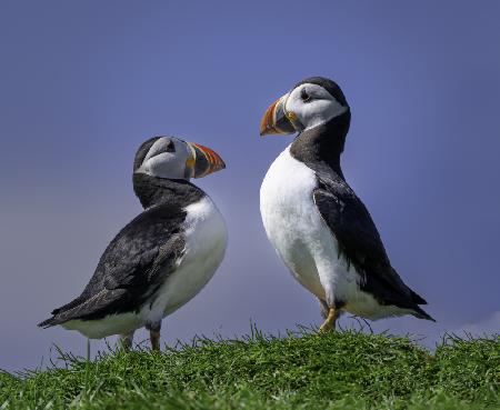 Are you looking at me?