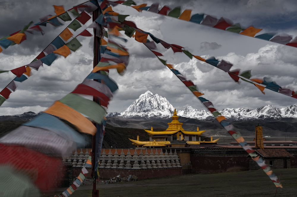 Tagong von Jingshu Zhu