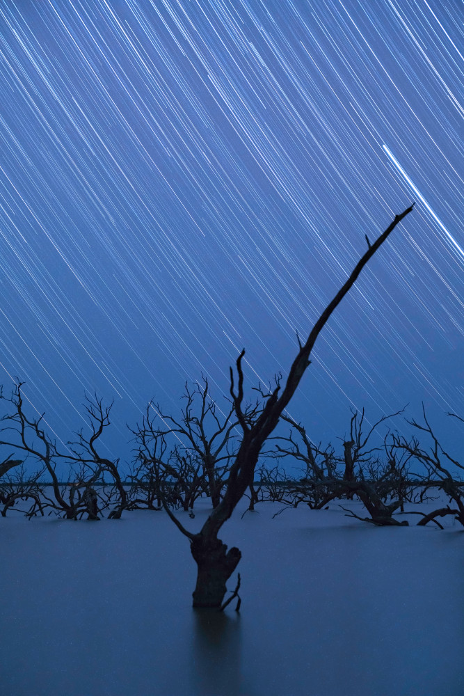 Immortal von Jingshu Zhu