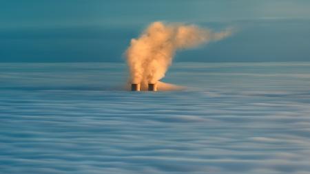 Captain Leaves Plant Last