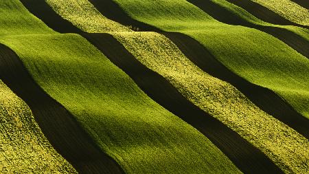 Participants of a Trip