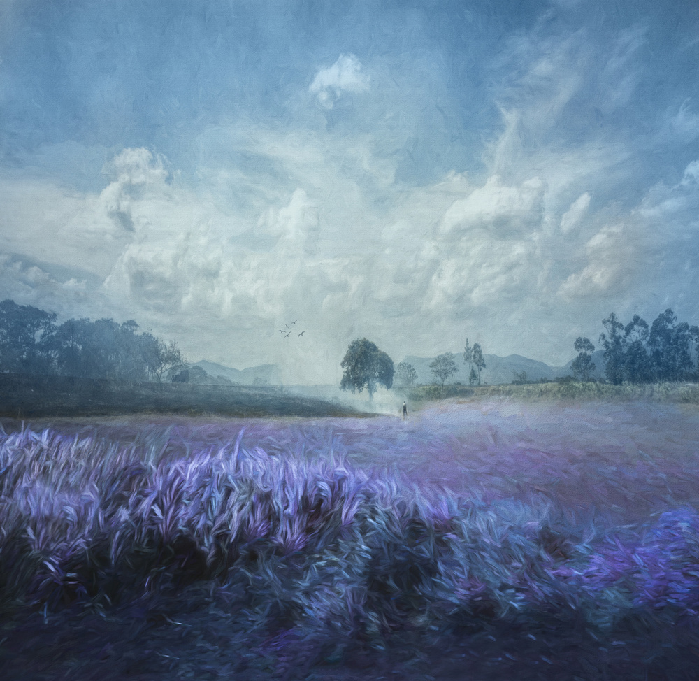 Purple Fields von Joan Blease