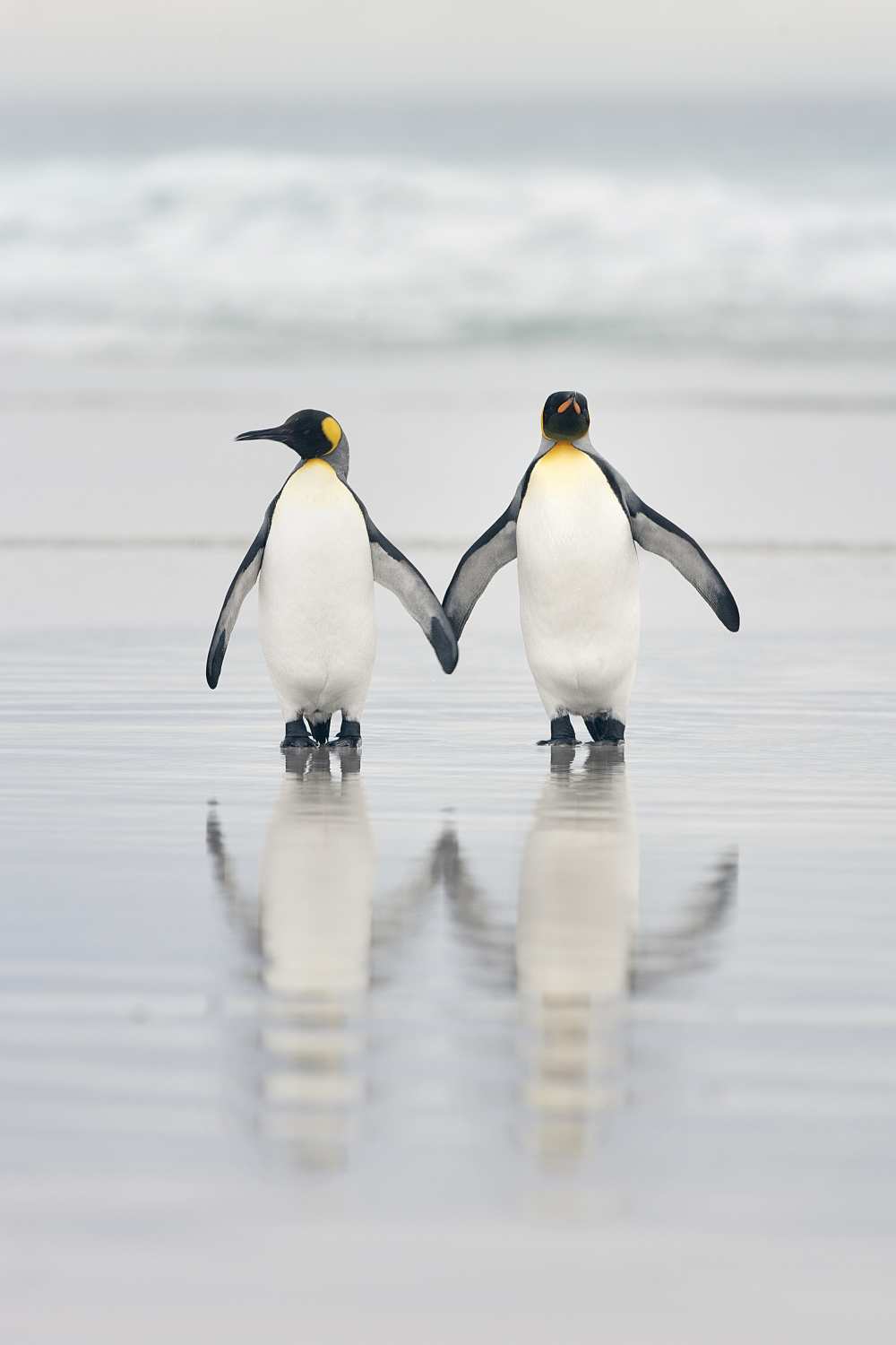 Friends von Joan Gil Raga