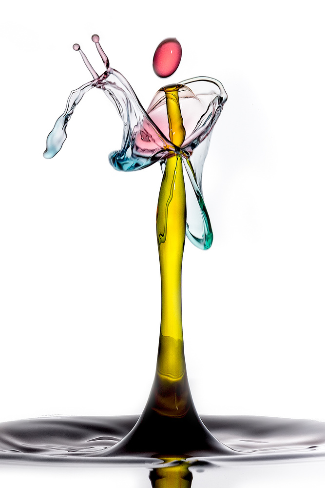 Snail dropart von Joan Gil Raga