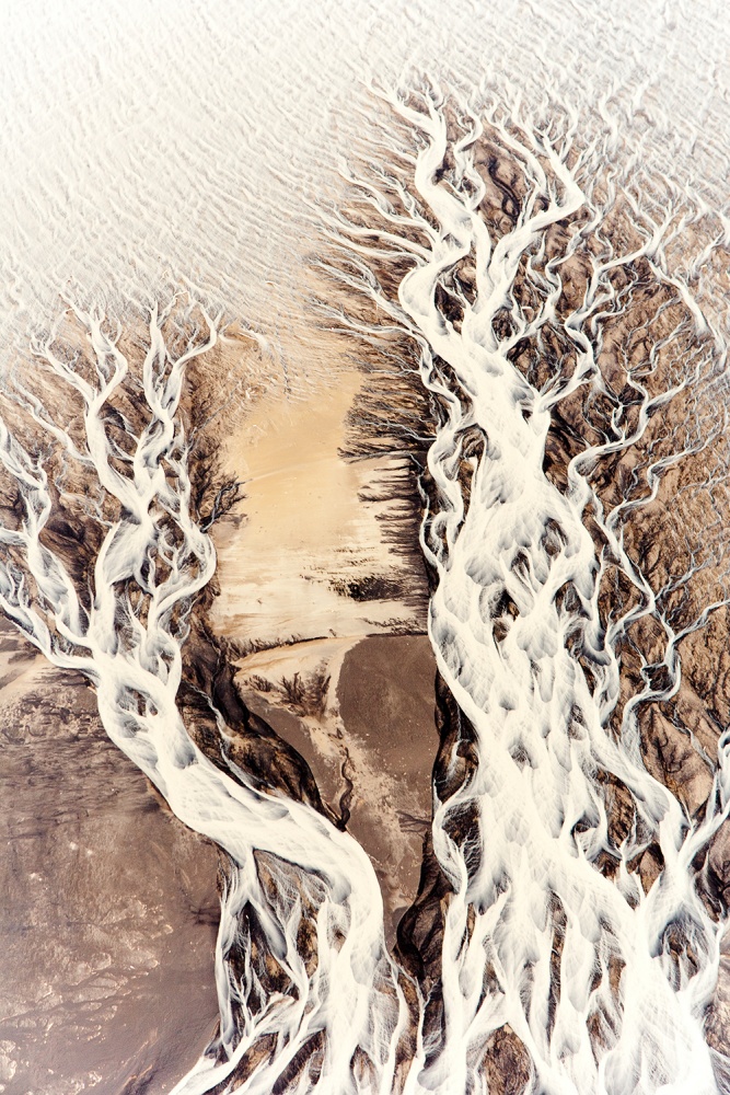 Tentacles von Joan Gil Raga