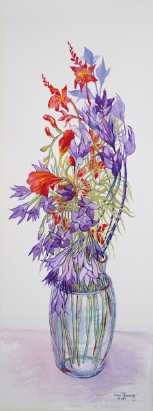 Agapantha companulatus and Crocosmia von Joan  Thewsey