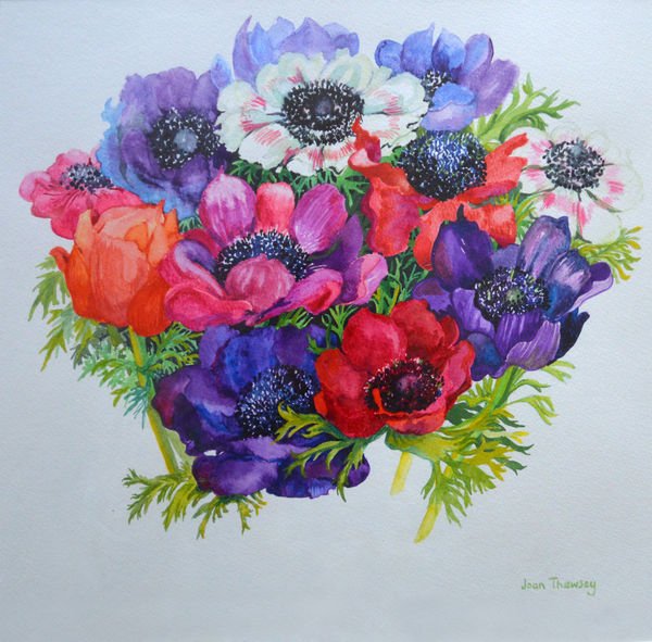 Anemones: red, white, pink and purple von Joan  Thewsey
