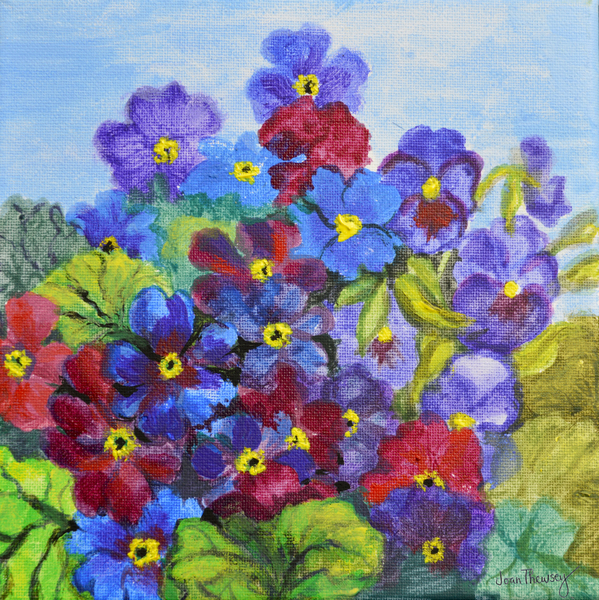 Blue Primroses von Joan  Thewsey