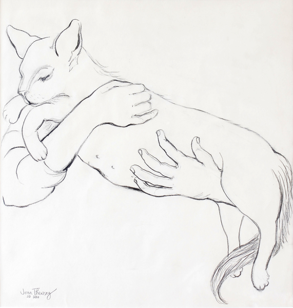 Cuddly Cat von Joan  Thewsey