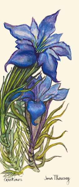 Gentians von Joan  Thewsey