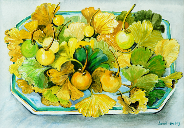 Ginkgo,fruit and Leaves von Joan  Thewsey