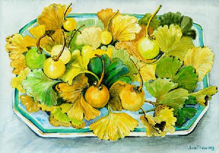 Ginkgo,fruit and Leaves