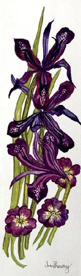 Irises and Primroses