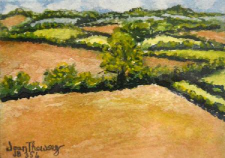 Little Suffolk Landscape