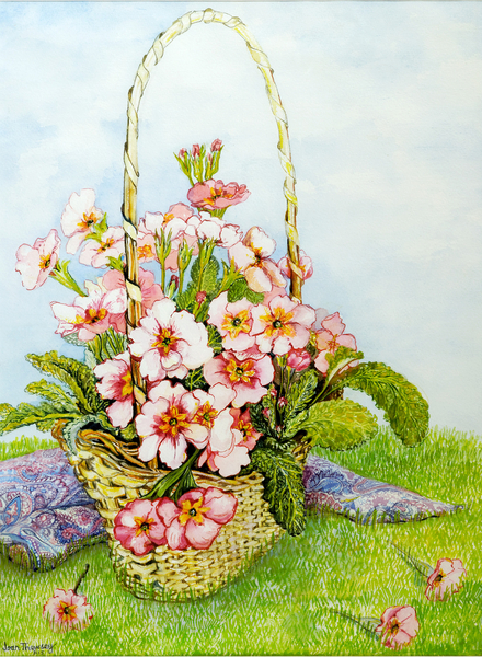 Pink Primroses in a Florists Basket with a Paisley Scarf von Joan  Thewsey