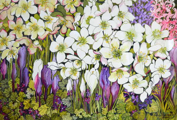 Spring Border: Hellebores, Crocus and Violets von Joan  Thewsey