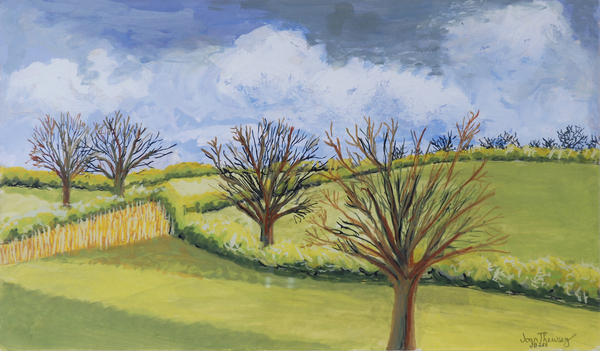 Suffolk Spring Sky von Joan  Thewsey