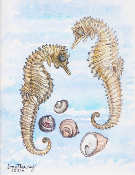 Two Seahorses, with Shells von Joan  Thewsey