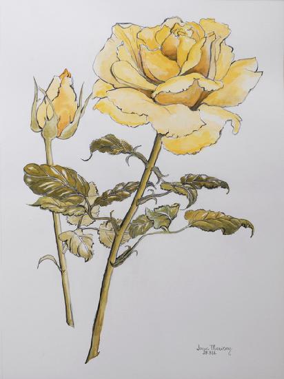 Yellow Rose with Leaves with Bud