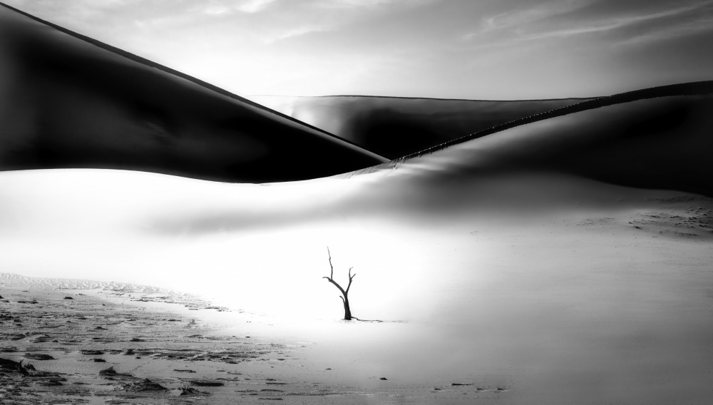 Spirit of the desert 7R49491BN von joanaduenas