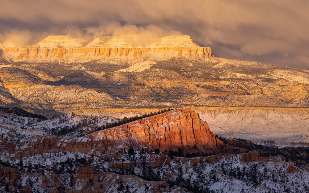 After Snow von Joanna W