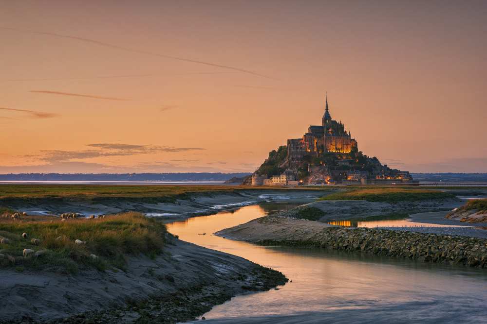 Orangine von Joaquin Ortiz